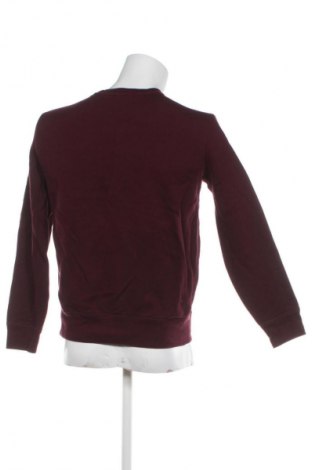 Herren Shirt Polo, Größe S, Farbe Rot, Preis 42,99 €