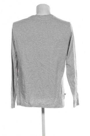 Herren Shirt Tommy Hilfiger, Größe L, Farbe Grau, Preis € 40,99