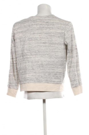 Herren Shirt Watson's, Größe L, Farbe Mehrfarbig, Preis 17,99 €