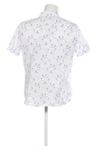 Herrenhemd Angelo Litrico, Größe L, Farbe Mehrfarbig, Preis 15,00 €