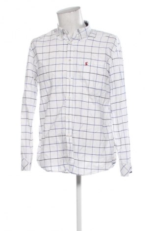 Herrenhemd Joules, Größe L, Farbe Mehrfarbig, Preis € 19,99
