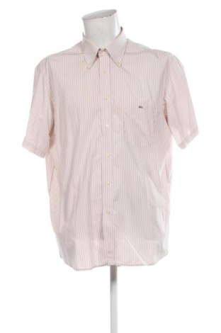 Herrenhemd Lacoste, Größe L, Farbe Mehrfarbig, Preis € 31,99