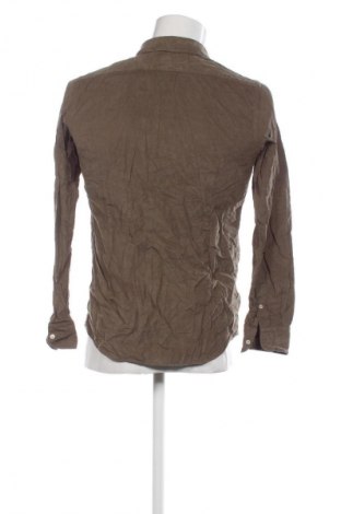 Herrenhemd Massimo Dutti, Größe S, Farbe Grün, Preis 26,99 €