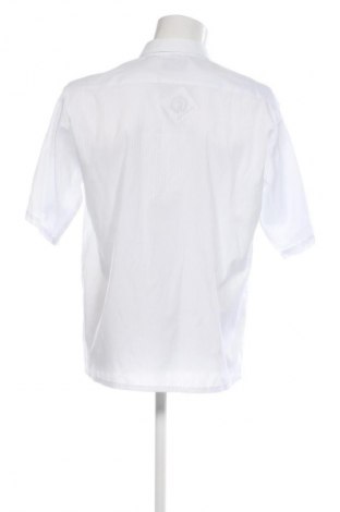 Herrenhemd Unbranded, Größe L, Farbe Weiß, Preis € 11,99