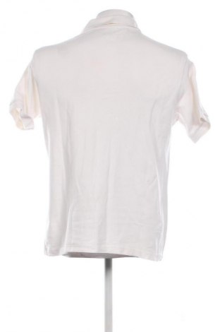 Herren T-Shirt Helly Hansen, Größe M, Farbe Ecru, Preis € 16,99