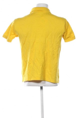 Herren Shirt Lacoste, Größe M, Farbe Gelb, Preis 51,99 €