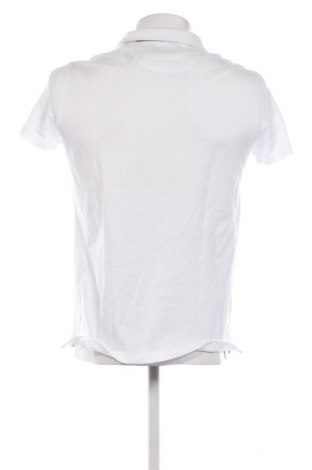 Herren T-Shirt Massimo Dutti, Größe M, Farbe Weiß, Preis € 25,00