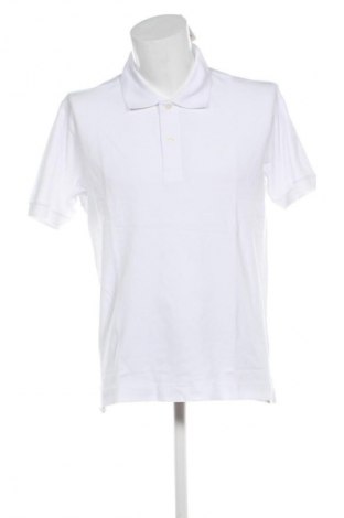 Herren T-Shirt Seidensticker, Größe L, Farbe Weiß, Preis € 24,99