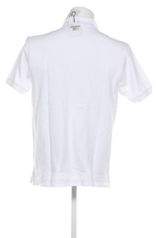 Herren T-Shirt Seidensticker, Größe L, Farbe Weiß, Preis € 24,99