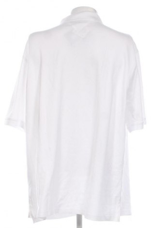 Pánské tričko  Tommy Hilfiger, Velikost 5XL, Barva Bílá, Cena  2 549,00 Kč