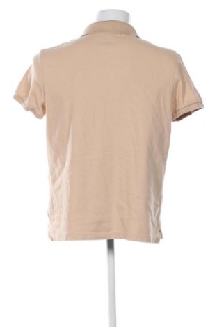 Herren T-Shirt Tommy Hilfiger, Größe XXL, Farbe Beige, Preis € 49,99