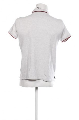 Herren T-Shirt U.S. Polo Assn., Größe M, Farbe Grau, Preis € 15,99