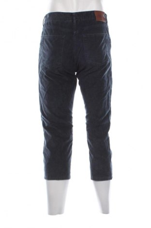 Herren Cordhose Gant, Größe M, Farbe Grün, Preis € 35,99