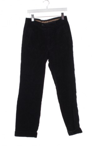 Herren Cordhose Hiltl, Größe S, Farbe Blau, Preis 8,99 €