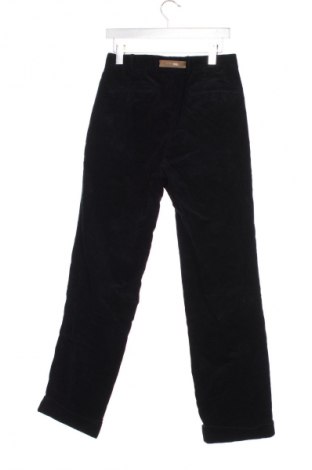 Herren Cordhose Hiltl, Größe S, Farbe Blau, Preis 8,99 €