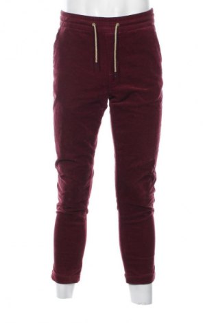 Herren Cordhose Scotch & Soda, Größe S, Farbe Rot, Preis € 27,99