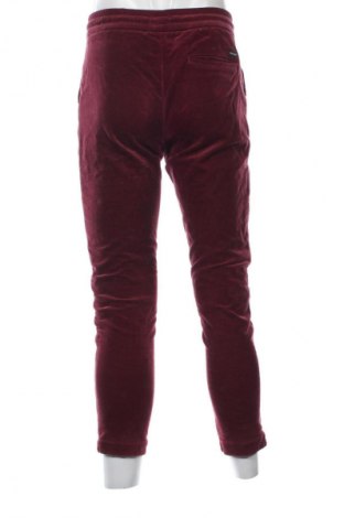 Herren Cordhose Scotch & Soda, Größe S, Farbe Rot, Preis € 27,99