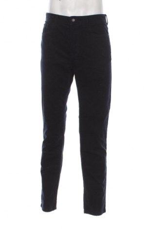 Herren Cordhose Unbranded, Größe M, Farbe Blau, Preis 12,99 €