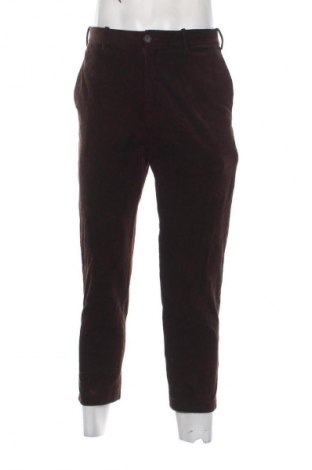 Herren Cordhose Uniqlo, Größe S, Farbe Braun, Preis € 14,99