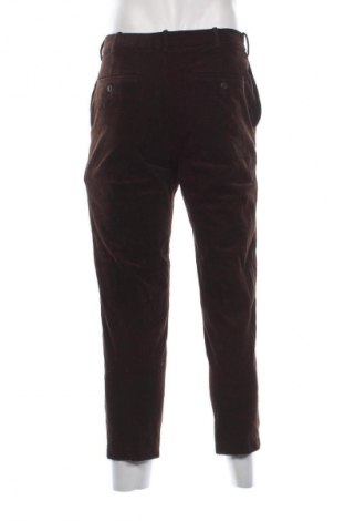 Herren Cordhose Uniqlo, Größe S, Farbe Braun, Preis € 14,99