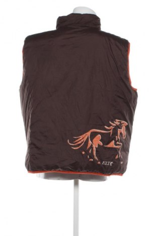 Herrenweste Unbranded, Größe XXL, Farbe Mehrfarbig, Preis 28,99 €