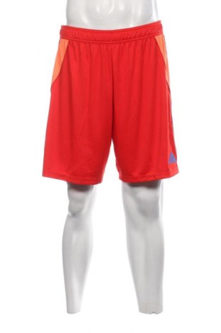 Herren Shorts Adidas, Größe L, Farbe Mehrfarbig, Preis € 46,65
