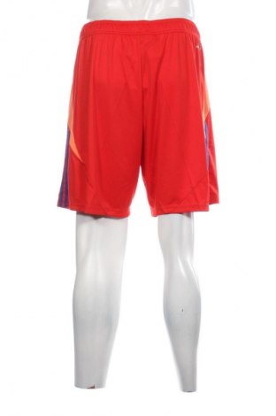 Herren Shorts Adidas, Größe L, Farbe Mehrfarbig, Preis € 46,65