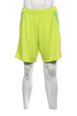 Herren Shorts Adidas, Größe L, Farbe Mehrfarbig, Preis € 56,37