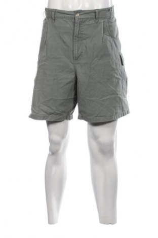 Herren Shorts Columbia, Größe XL, Farbe Grün, Preis € 15,99