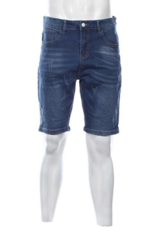 Herren Shorts Manfinity, Größe L, Farbe Blau, Preis € 14,99