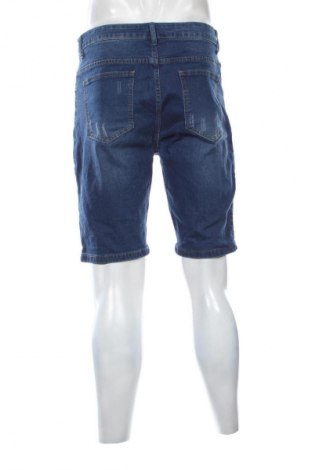 Herren Shorts Manfinity, Größe L, Farbe Blau, Preis € 14,99