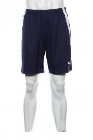 Herren Shorts PUMA, Größe L, Farbe Mehrfarbig, Preis 37,99 €