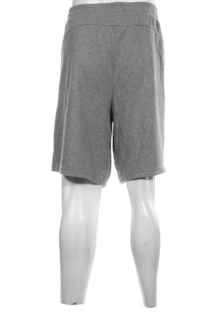 Herren Shorts PUMA, Größe 3XL, Farbe Grau, Preis € 16,99