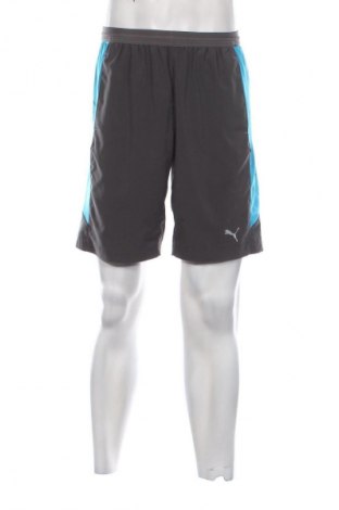 Herren Shorts PUMA, Größe M, Farbe Grau, Preis 20,97 €