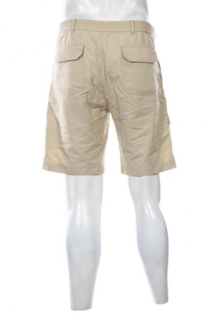 Herren Shorts Salewa, Größe L, Farbe Beige, Preis € 36,99