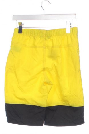 Pantaloni scurți de bărbați The North Face, Mărime S, Culoare Multicolor, Preț 196,99 Lei