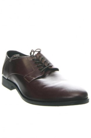 Ανδρικά παπούτσια Shoe The Bear, Μέγεθος 45, Χρώμα Καφέ, Τιμή 34,36 €