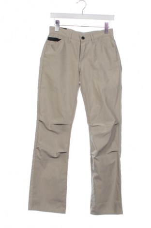 Herrenhose Pepe Jeans, Größe S, Farbe Grau, Preis € 22,99