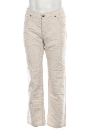 Herrenhose Unbranded, Größe L, Farbe Mehrfarbig, Preis € 11,99