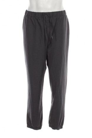 Herrenhose Unbranded, Größe XL, Farbe Grau, Preis € 3,99