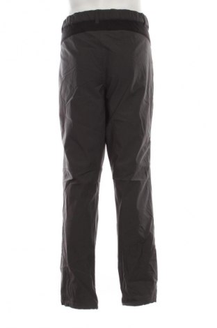 Herrenhose für Wintersport Crane, Größe L, Farbe Grau, Preis € 30,99