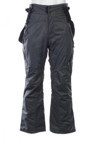 Herrenhose für Wintersport Vittorio Rossi, Größe L, Farbe Grau, Preis 19,99 €