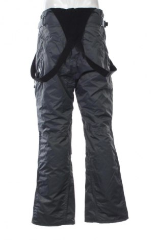 Herrenhose für Wintersport Vittorio Rossi, Größe L, Farbe Grau, Preis 19,99 €