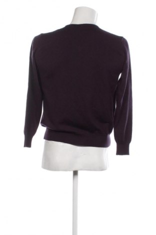 Herrenpullover Collection, Größe L, Farbe Lila, Preis € 13,99