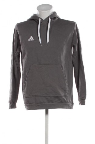 Ανδρικό φούτερ Adidas, Μέγεθος L, Χρώμα Γκρί, Τιμή 36,99 €