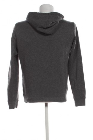 Herren Sweatshirt Q/S by S.Oliver, Größe M, Farbe Grau, Preis 25,99 €