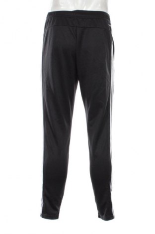 Herren Sporthose Adidas, Größe M, Farbe Schwarz, Preis € 72,99