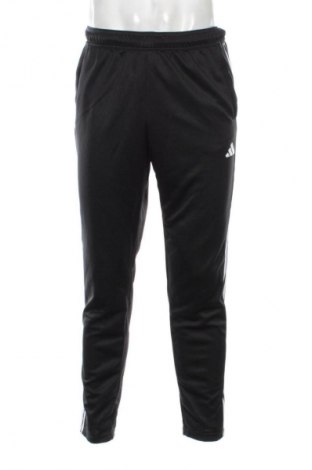 Herren Sporthose Adidas, Größe L, Farbe Mehrfarbig, Preis 57,99 €