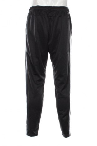 Herren Sporthose Adidas, Größe L, Farbe Mehrfarbig, Preis 57,99 €