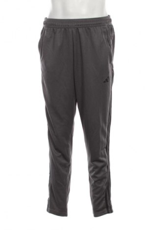 Herren Sporthose Adidas, Größe L, Farbe Grau, Preis € 58,99
